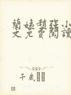 兰姨赵强小说全文免费阅读