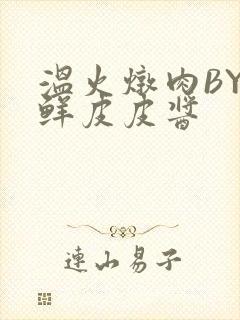 温火炖肉BY海鲜皮皮酱