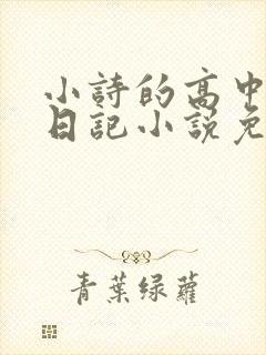 小诗的高中成长日记小说免费阅读