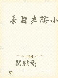 长日光阴小说