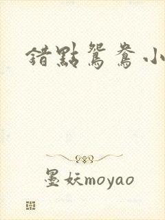 错点鸳鸯小说