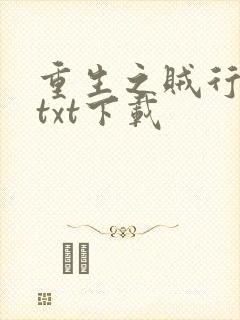 重生之贼行天下txt下载