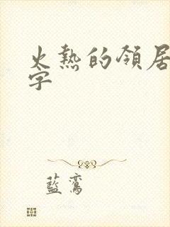 火热的领居中文字