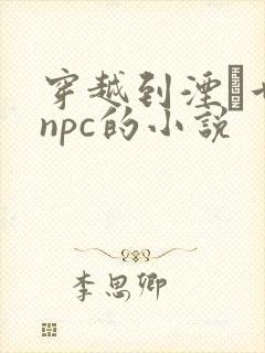 穿越到湮婸世界npc的小说