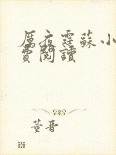 厉夜霆苏小汐免费阅读