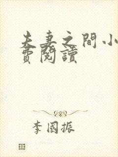 夫妻之间小说免费阅读