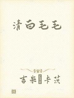 清白毛毛