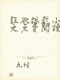 狂欲总裁小说全文免费阅读