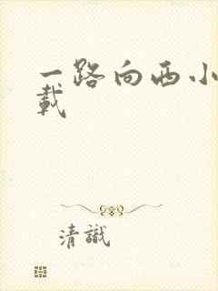 一路向西小说下载