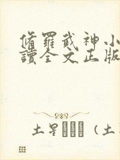 修罗武神小说阅读全文正版