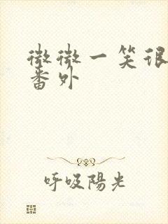 微微一笑很倾城番外