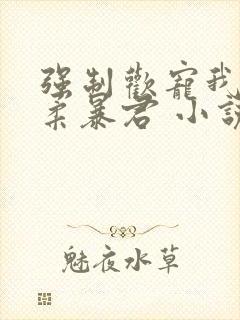 强制欢宠我的温柔暴君 小说