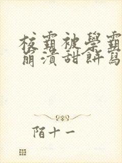 校霸被学霸玩到崩溃甜饼写手