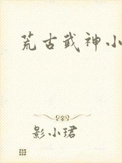 荒古武神小说
