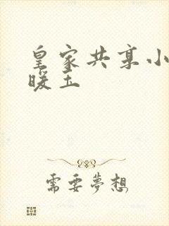 皇家共享小公主暖玉