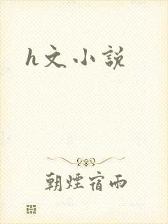 h文小说