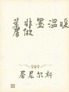 叶非墨温暖在厨房做