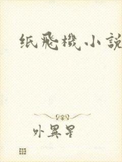 纸飞机小说