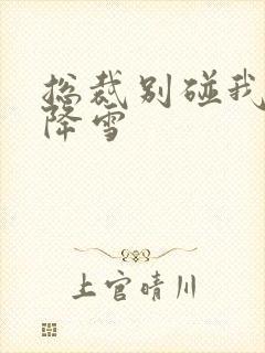 总裁别碰我 韩降雪