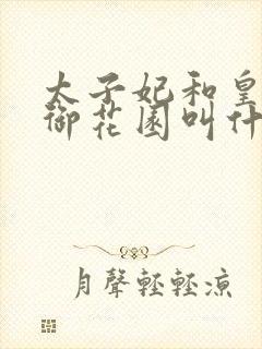 太子妃和皇帝在御花园叫什么小说