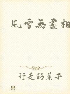 风雪无尽相思情
