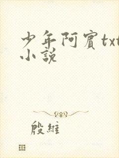 少年阿宾txt小说