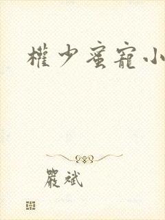 权少蜜宠小娇妻