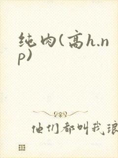 纯肉(高h.np)