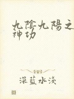 九阴九阳之阴阳神功