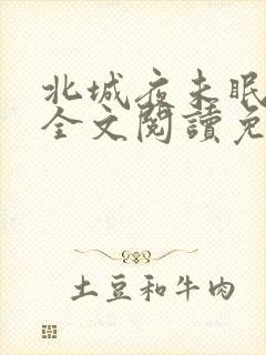 北城夜未眠小说全文阅读免费