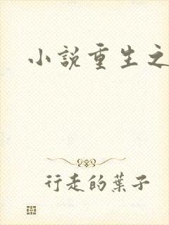 小说重生之官道