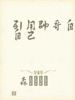 引用帅哥自己玩自己