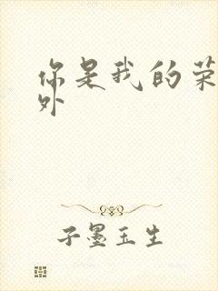 你是我的荣耀番外