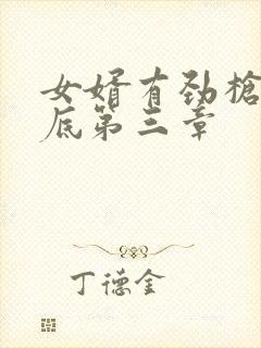 女婿有劲枪枪到底第三章