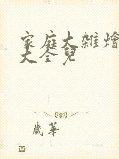 家庭大杂烩小说大全儿