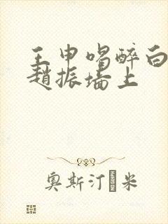 王申喝醉白洁被赵振墙上