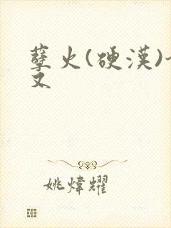 孽火(硬汉)今又