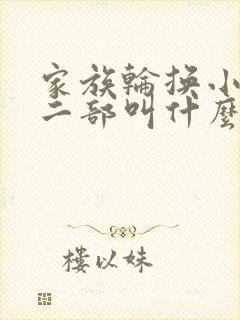 家族轮换小说第二部叫什么名字