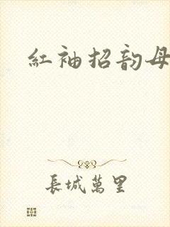 红袖招韵母攻略