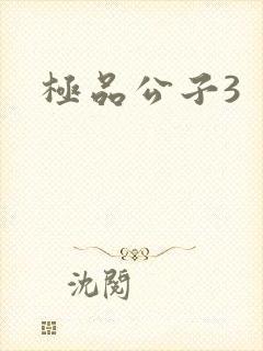 极品公子3