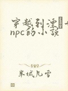 穿越到湮婸世界npc的小说