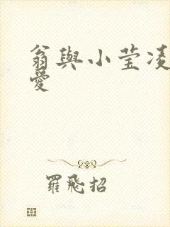 翁与小莹凌晨欢爱