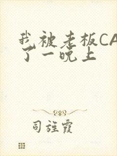 我被老板CAO了一晚上