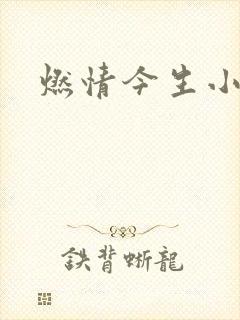 燃情今生小说
