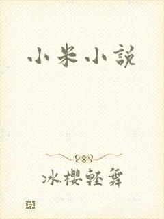 小米小说