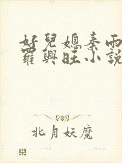 好儿媳秦雨罗明罗兴旺小说