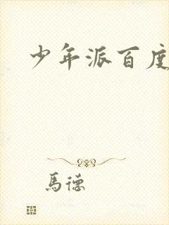 少年派百度百科