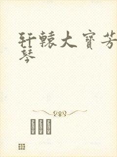 轩辕大宝芳菲雅琴