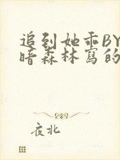 追到她乖BY黑暗森林写的小说