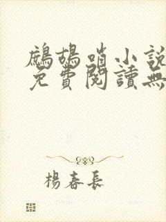 鹧鸪哨小说网站免费阅读无弹窗